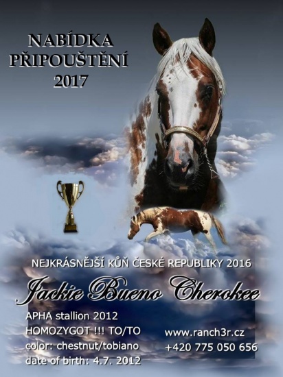 Absolutny mistrz - najlepszy koń Czech 2016